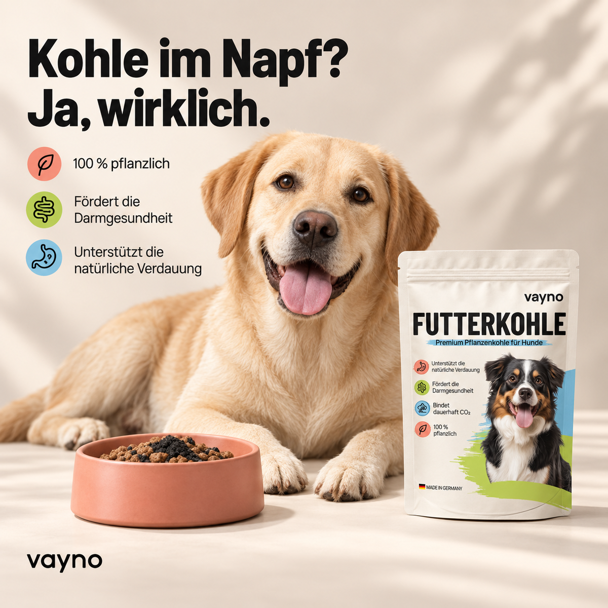 Vayno Futterkohle für Hunde neben einem gelben Labrador und einem Futternapf mit schwarzer Pflanzenkohle auf dem Futter.